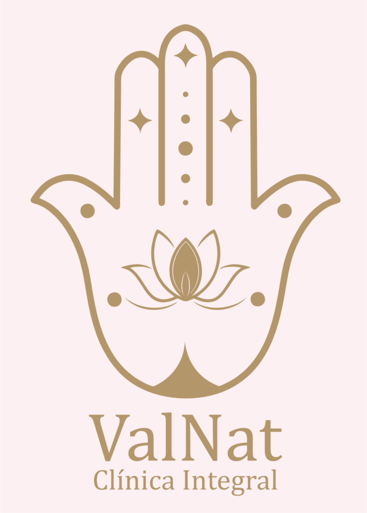 logo valna pink
